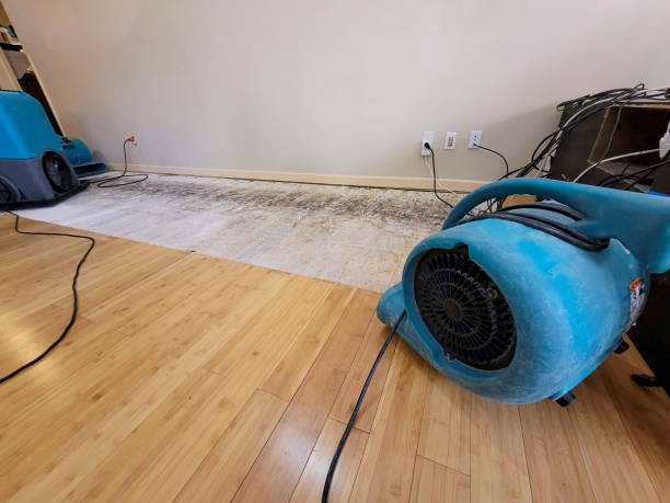 Professional Structural Drying technician working in Hudson, NY